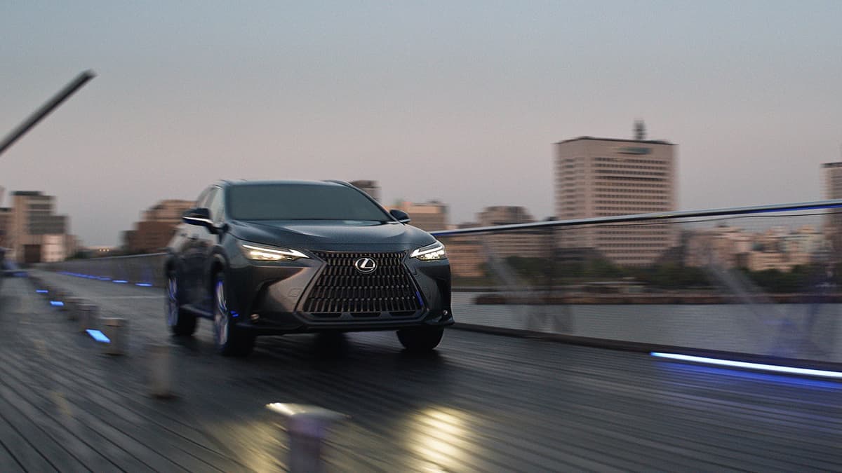 Feel The Exhilaration