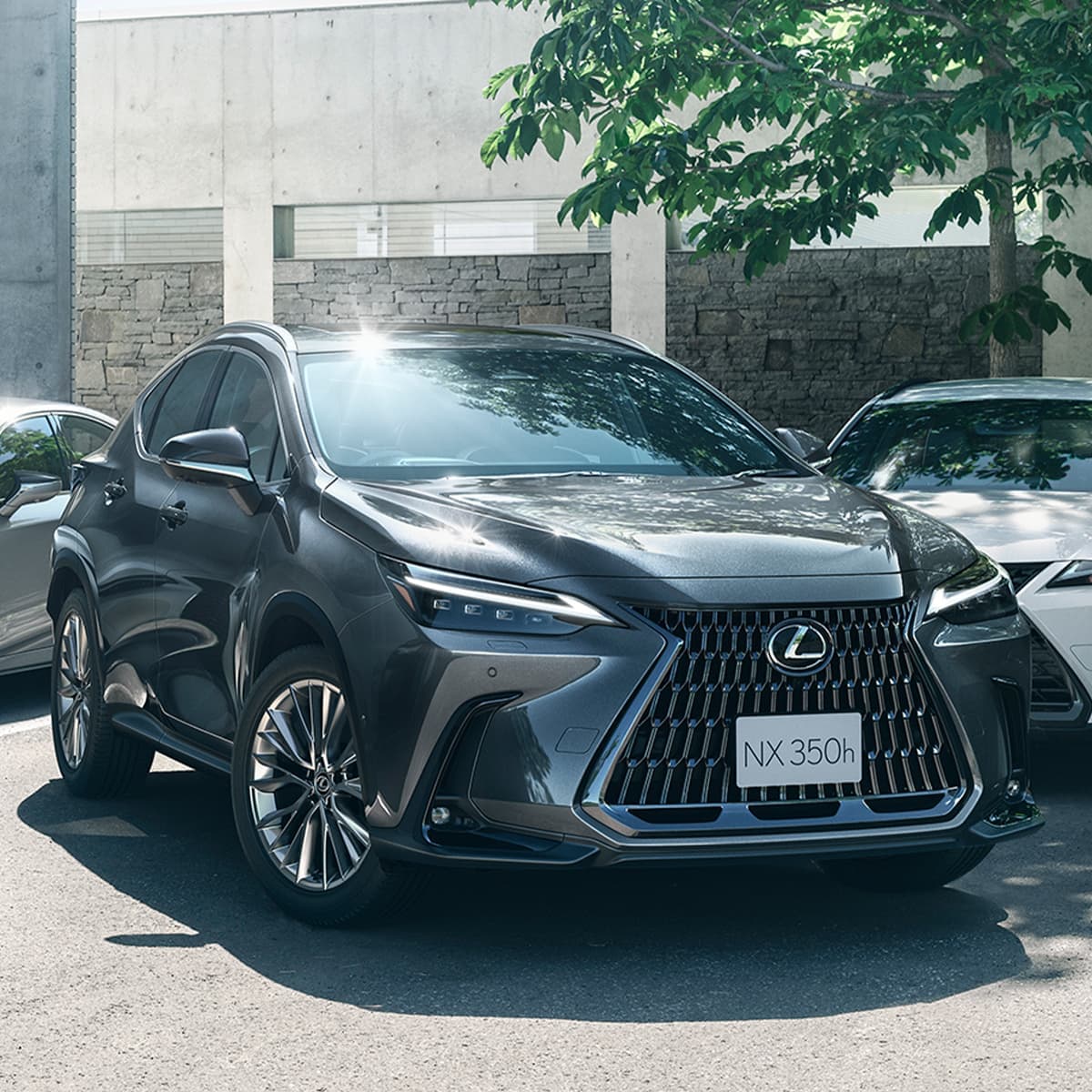 Lexus NX 350h Luxury Overview