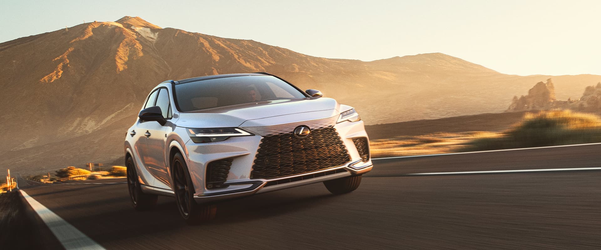 Lexus RX Exterior Gallery Images