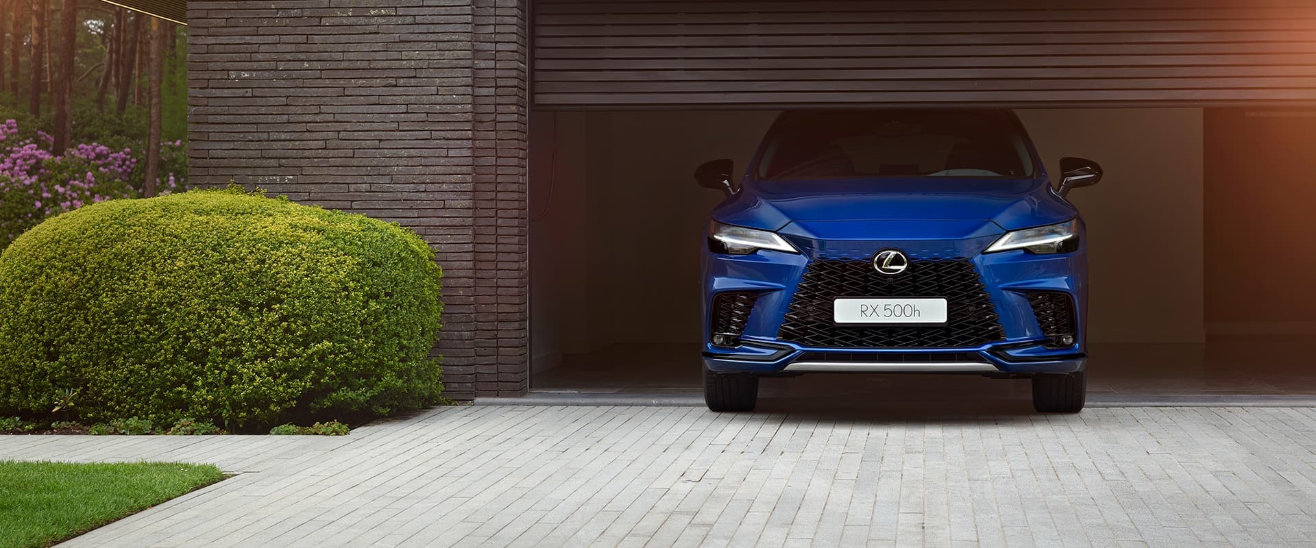 Lexus RX Exterior Gallery Images