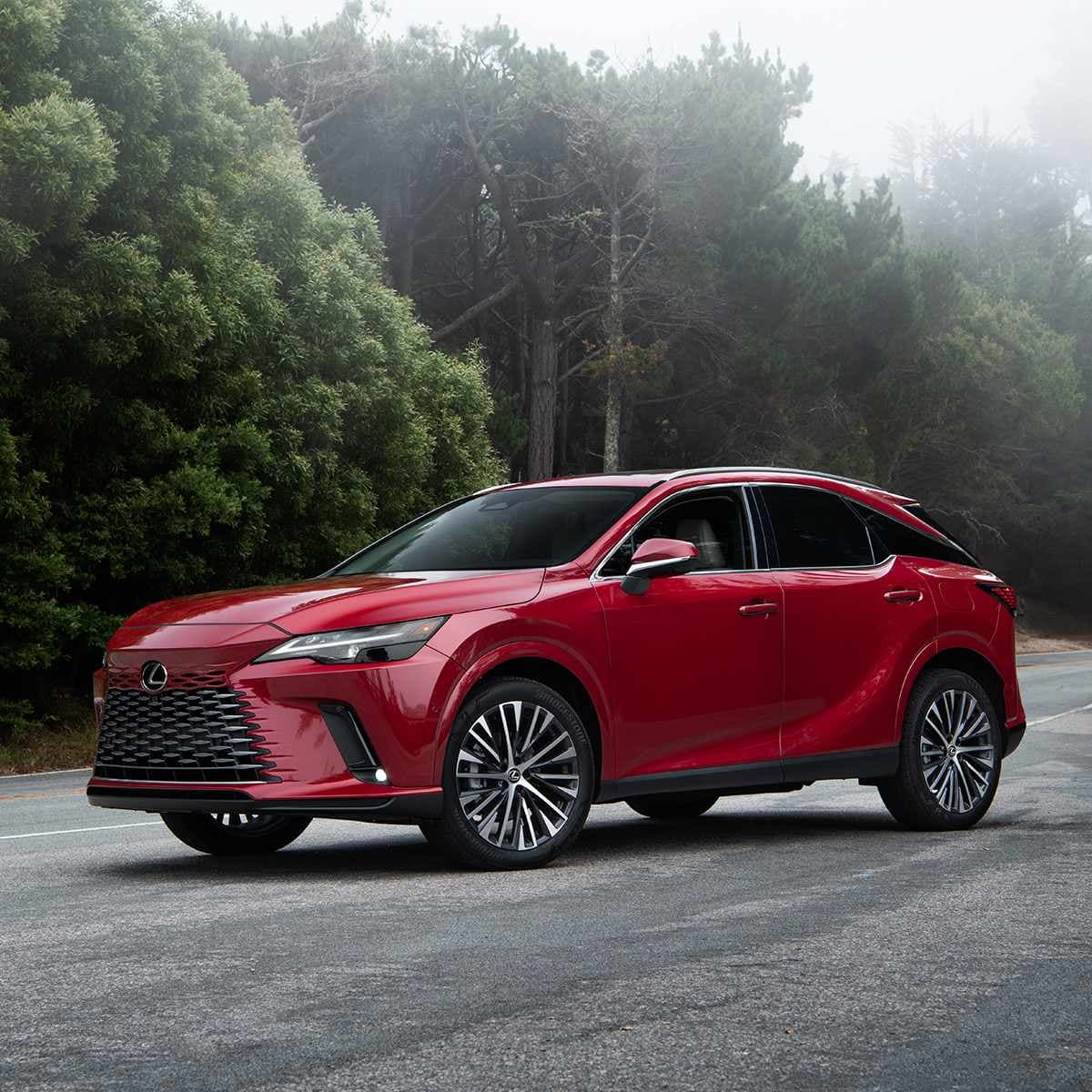 Lexus RX 350h Luxury Overview